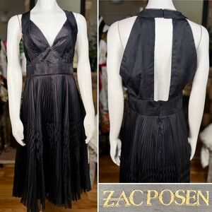 Zac Posen Black 100% Silk Pleated Halter Style Deep V Open Back Dress, Sz 10